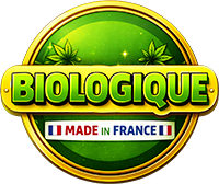 Calque-917
